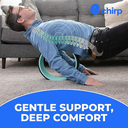 Chirp Wheel Foam Roller – Targeted Back & Neck Relief, Lumbar Spine Stretcher, Spinal Decompression Back Stretcher, Massage Roller with Density Foam for Physical Therapy, Supports 500lbs, 4-Pack Mint