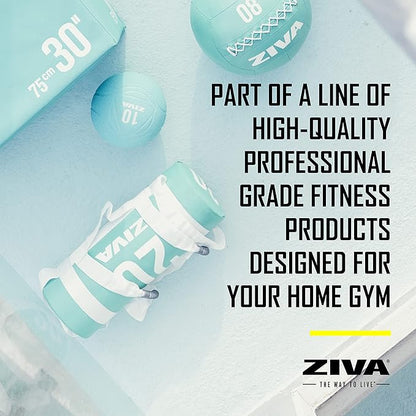 ZIVA Power Sandbag – Pre-Weighted Training Bag with Multiple Handles for Full-Body Strength & Conditioning – Heavy-Duty, No-Fill Needed (10–50 lb)