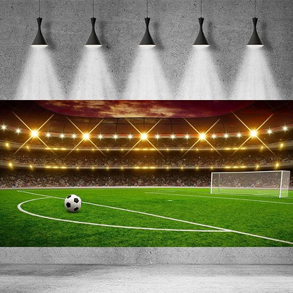 Football Stadium Photography Background Sports Birthday Party Sports Game Party Backdrop Green Glass Football Field Spotlight Lights Children Adult Sports Club Studio Portrait Props 20x10ft