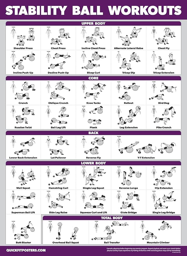Palace Learning 2 Pack - Yoga Ball Workout Exercises Volume 1 & Volume 2 - Stability Ball Routine - Fitness Charts