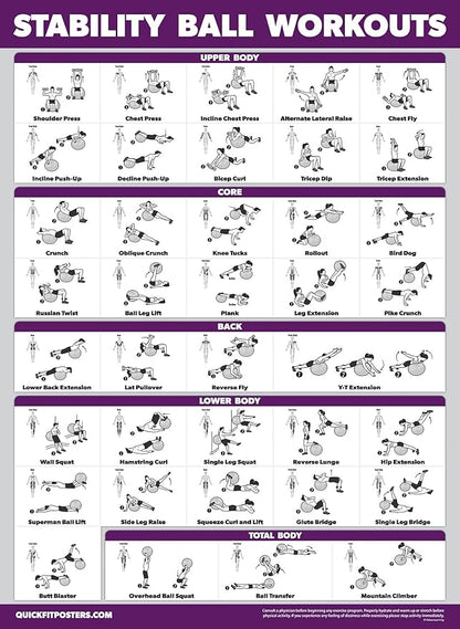 Palace Learning 2 Pack - Yoga Ball Workout Exercises Volume 1 & Volume 2 - Stability Ball Routine - Fitness Charts