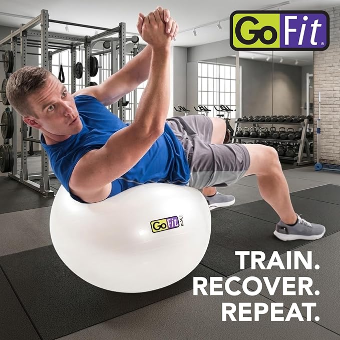 GoFit Stability Ball