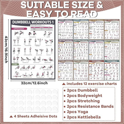 gisgfim 12PCS Workout Posters for Home Gym Dumbbells, Bodyweight, Stretching, Kettlebells, Yoga, Resistance Bands Exercise Chart Muscle Engagement Chart Full Body Workout Poster Set Garage Gym Decor