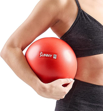 Sunny Health & Fitness Premium Anti-Burst Exercise Balls for Core Strength, Yoga, Pilates, Barre, Physical Therapy, Balance, Flexibility Non-Slip & Odorless