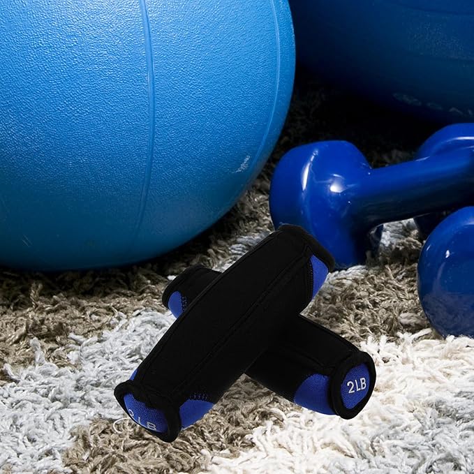 BESPORTBLE Soft Dumbbell Hand Weights 2lb Pair Blue Sandbag Fitness Equipment for Home Arm Toning Walking Exercise Training