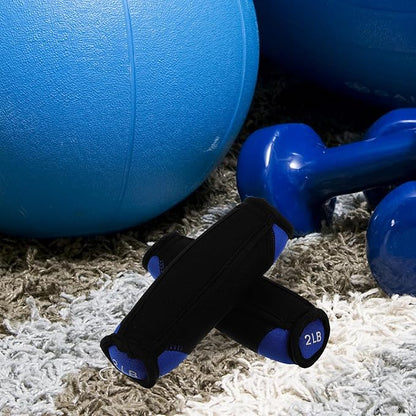 BESPORTBLE Soft Dumbbell Hand Weights 2lb Pair Blue Sandbag Fitness Equipment for Home Arm Toning Walking Exercise Training