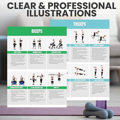 Full Body Workout Poster for Home Gym – Exercise Chart for Glutes, Legs, Back & Abs – Strength Training Guide with Squats, Lunges, Deadlifts, Core Exercises – Bodyweight & Dumbbell Training Guide