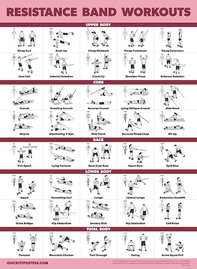 Palace Learning 2 Pack - Resistance Bands and Resistance Loops Workout Posters - Set of 2 Laminated Charts - Resistance Band Tubes and Loops Exercise Charts [Light]