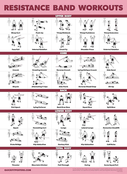 Palace Learning 2 Pack - Resistance Bands and Resistance Loops Workout Posters - Set of 2 Laminated Charts - Resistance Band Tubes and Loops Exercise Charts [Light]