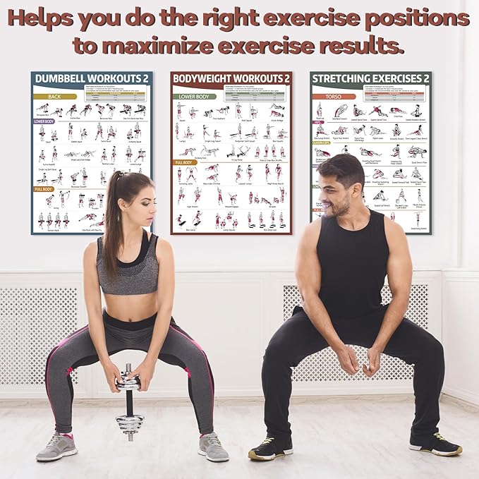 gisgfim 6PCS Workout Posters for Home Gym Dumbbell Bodyweight Stretching Workout Exercise Chart
