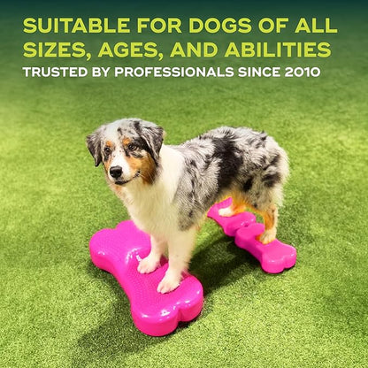FitPAWS® K9FITbone® - Regular, Razzleberry | Dog Balance Training Platform & Exercise Equipment | Workout Tool for Strength, Core & Stability