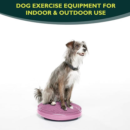 FitPAWS® Dog Balance Disc – 14”, Razzleberry | Dog Exercise Equipment | Workout Tool for Strength, Core, Stability & Rehabilitation