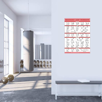 Palace Learning 2 Pack - Resistance Bands and Resistance Loops Workout Posters - Set of 2 Laminated Charts - Resistance Band Tubes and Loops Exercise Charts [Light]