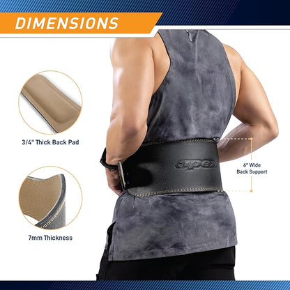 Apex by Marcy 6-Inch Wide Padded Genuine Leather Weightlifting Belt with Thick Back Support and Dual Prong Buckle – Durable, Adjustable for Strength Training, Powerlifting, Deadlifting, and CrossFit for Men and Women