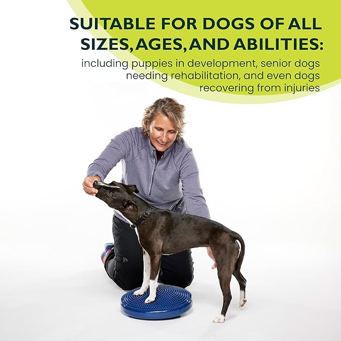 FitPAWS® Dog Balance Disc – 14”, Blue | Dog Exercise Equipment | Workout Tool for Strength, Core, Stability & Rehabilitation