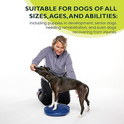 FitPAWS® Dog Balance Disc – 14”, Blue | Dog Exercise Equipment | Workout Tool for Strength, Core, Stability & Rehabilitation