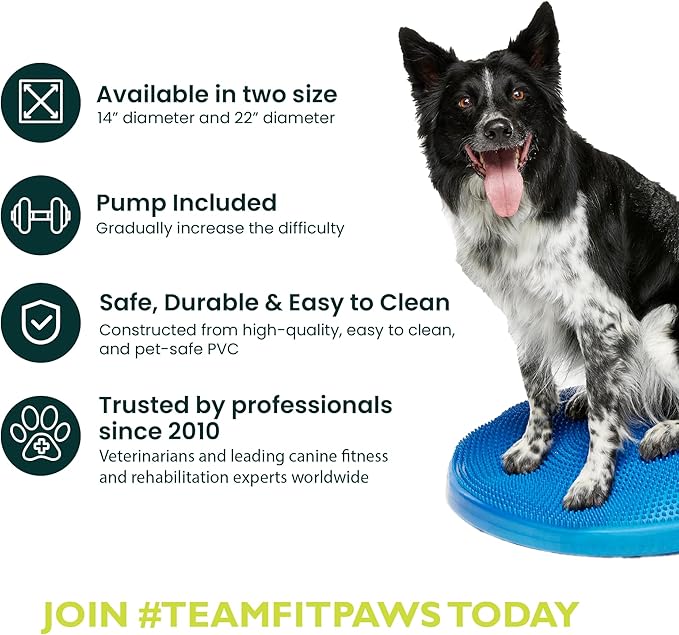 FitPAWS® Dog Balance Disc – 22”, Blue | Dog Exercise Equipment | Workout Tool for Strength, Core, Stability & Rehabilitation