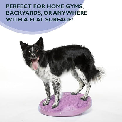 The Versatile FitPaws Balance Disc