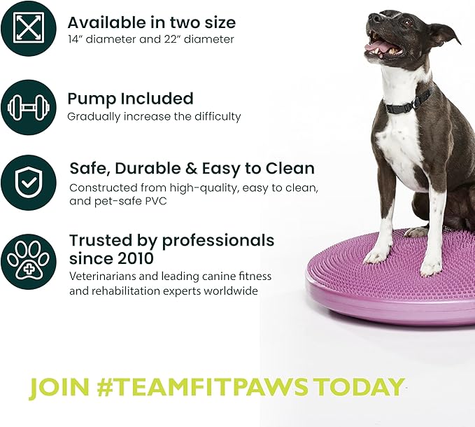 The Versatile FitPaws Balance Disc