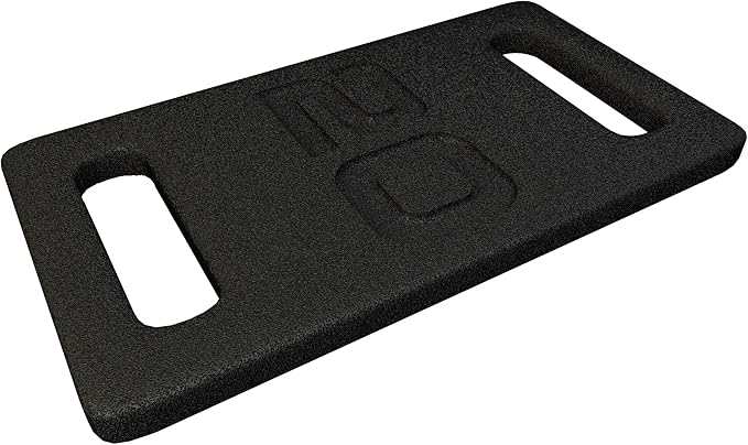 Fitvids Cast Iron Plate, Weighted Plate for Swings, Squat, Strength Training, Fitness Workout, and Home Exercises