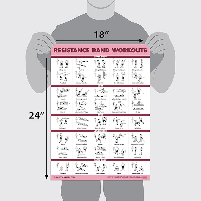 Palace Learning 2 Pack - Resistance Bands and Resistance Loops Workout Posters - Set of 2 Laminated Charts - Resistance Band Tubes and Loops Exercise Charts [Light]