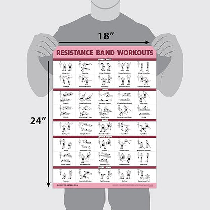 Palace Learning 2 Pack - Resistance Bands and Resistance Loops Workout Posters - Set of 2 Laminated Charts - Resistance Band Tubes and Loops Exercise Charts [Light]