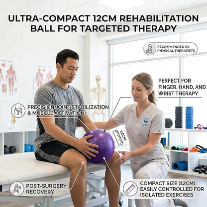 Mini Yoga Balls 6 Inch Exercise Pilates Therapy Balance Micropore Ball Barre Equipment for Home Stability Training Physical Core Training with Pump