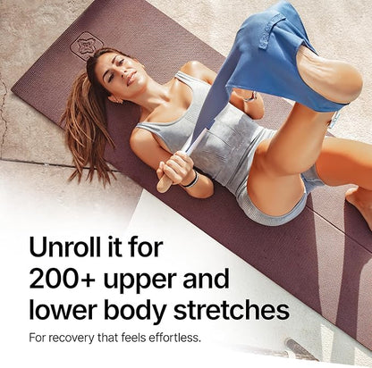CastleFlexx Mobility and Full Body Strengthening Device