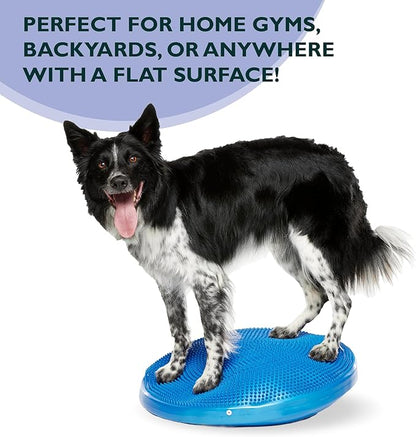 FitPAWS® Dog Balance Disc – 22”, Blue | Dog Exercise Equipment | Workout Tool for Strength, Core, Stability & Rehabilitation
