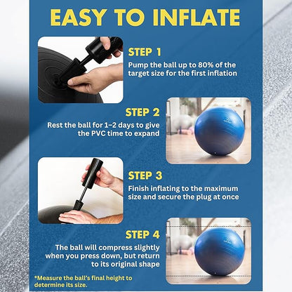 ProBody Pilates Pregnancy Ball - Yoga Ball for Pregnancy with Book, Prenatal, Labor & Postnatal Maternity Exercise