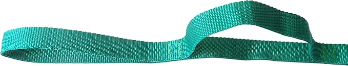 Physical Therapy Stretch Strap by Morning Sky - 10-Loop 73-inch Rehab Strap with Instructional Guide for Rehab, Stretching, Yoga.