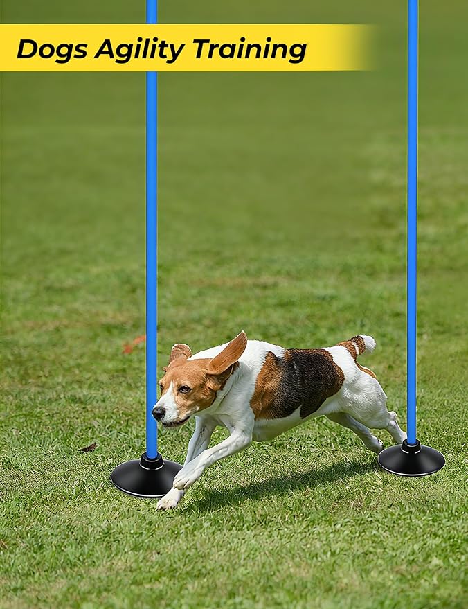 SEAOTTER Soccer Agility Poles Set, 4/6/10 Pcs 6ft Detachable Sports Trainning Speed Poles Slalom Poles with Rubber Base, Agility Training Equipment for Football, Rugby, Basketball, Indoor & Outdoor