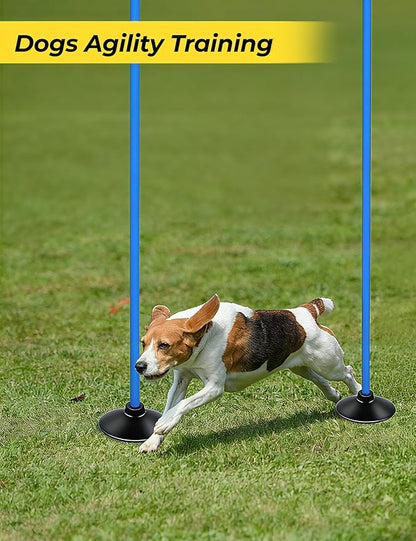 SEAOTTER Soccer Agility Poles Set, 4/6/10 Pcs 6ft Detachable Sports Trainning Speed Poles Slalom Poles with Rubber Base, Agility Training Equipment for Football, Rugby, Basketball, Indoor & Outdoor