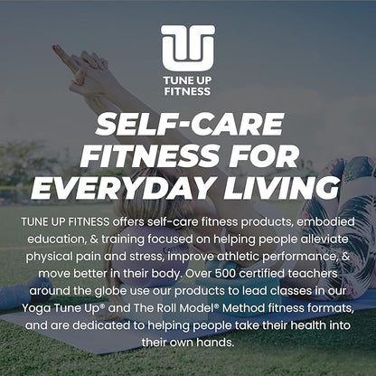 Tune Up Fitness – Coregeous Ball | Psoas Release Tool, Abdominal, Belly & Lower Back Release | Core Ball, Exercise Ball for Low Back, Stress & Digestive Relief, Improved Breathing & Sleep (Graphite)