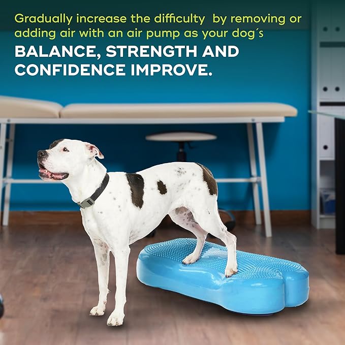FitPAWS® K9FITbone CanineGym® Dog Balance Training Platform – Giant