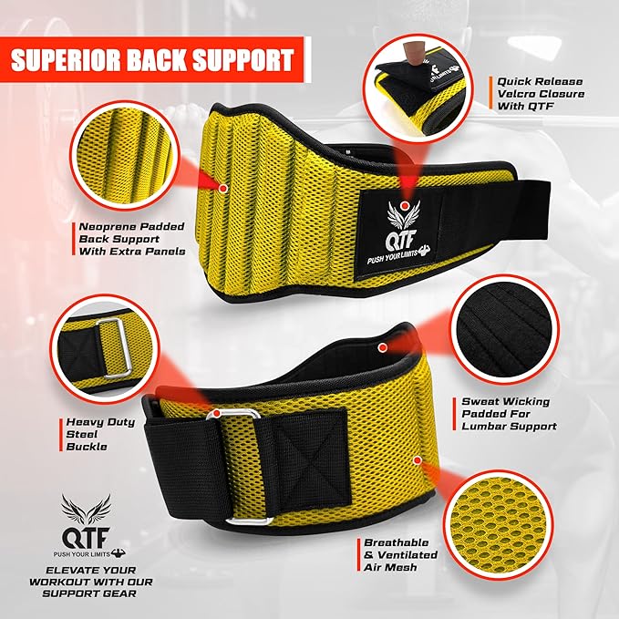 QTF Fitness Neoprene Weight Lifting Belt - Adjustable 6" Gym Support for Stability & Lumbar Support - Sweat Resistant Weightlifting Belt for Men & Women for Squats, Deadlifts & Bench Presses