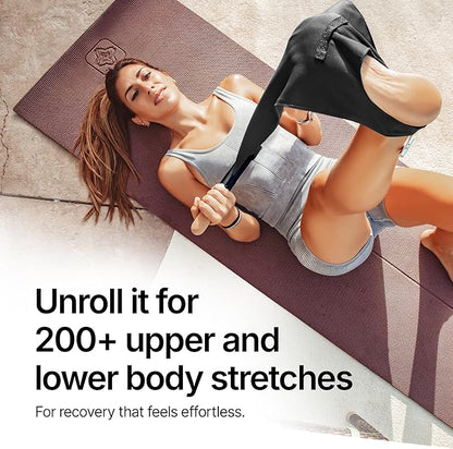 CastleFlexx Mobility and Full Body Strengthening Device