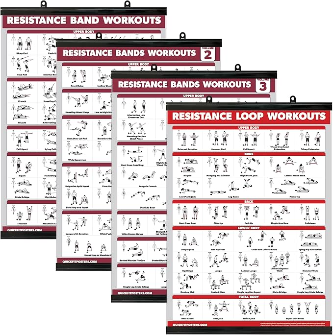 Palace Learning 4 Pack - Resistance Bands Workout Exercise Posters Volume 1, 2 & 3 + Resistance Loops Fitness Chart (LAMINATED WITH PLASTIC FRAME, 18" x 24")