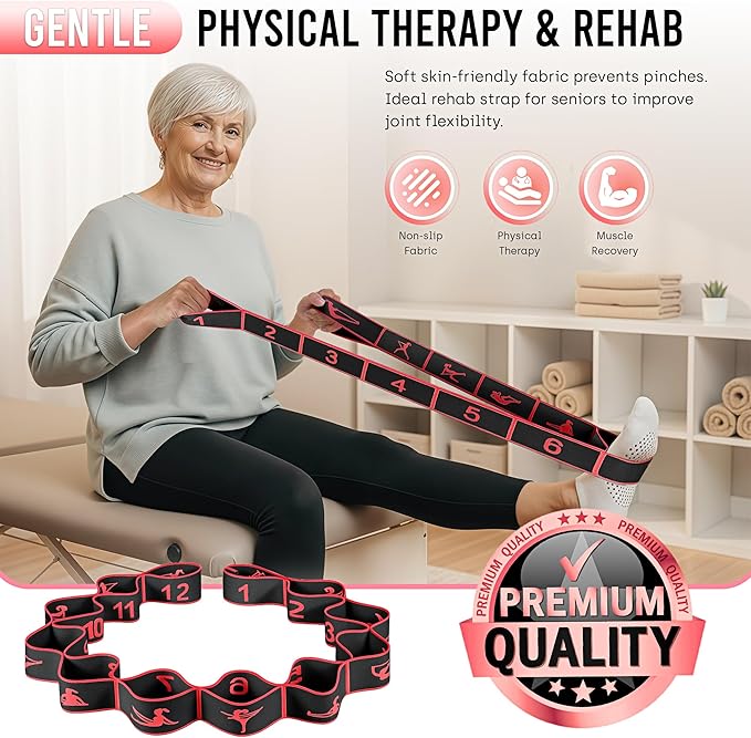 Resistance Bands, Stretch Band for Exercise, Physical Therapy, Rehab & Flexibility, Home Gym Equipment for Yoga, Pilates, Dance, Gymnastics, Number Loop Elastic Strap for Leg and Hip Stretches