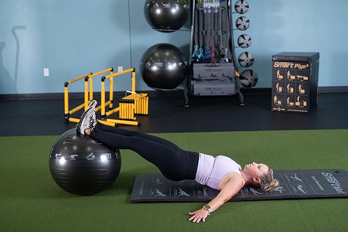 Prism Fitness Studio LINE Smart Self-Guided Stability Exercise Medicine Ball for Yoga, Pilates, and Office Ball Chair, Gray