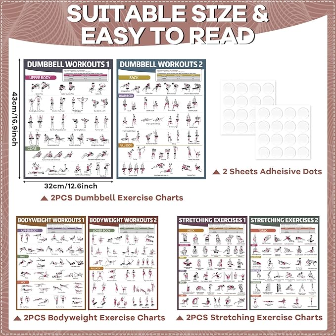 gisgfim 6PCS Workout Posters for Home Gym Dumbbell Bodyweight Stretching Workout Exercise Chart