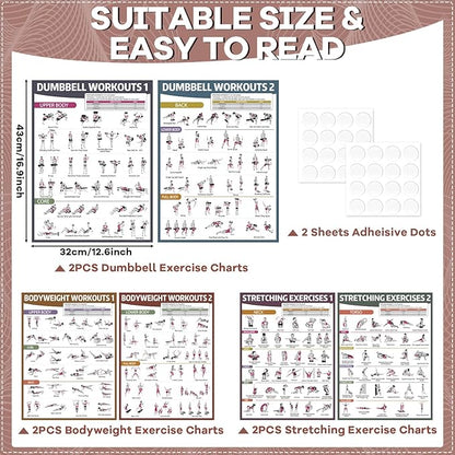 gisgfim 6PCS Workout Posters for Home Gym Dumbbell Bodyweight Stretching Workout Exercise Chart