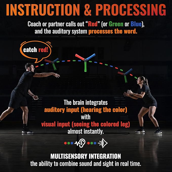 HECOstix Hand-Eye Coordination Trainer (Red/Green/Blue) – Reaction Time & Reflex Tool with Removable Legs | Improves Agility, Focus, & Multisensory Skills | Sports, Fitness, & Fun | All Ages