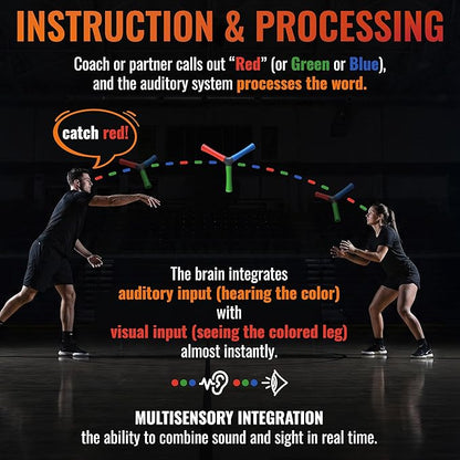 HECOstix Hand-Eye Coordination Trainer (Red/Green/Blue) – Reaction Time & Reflex Tool with Removable Legs | Improves Agility, Focus, & Multisensory Skills | Sports, Fitness, & Fun | All Ages