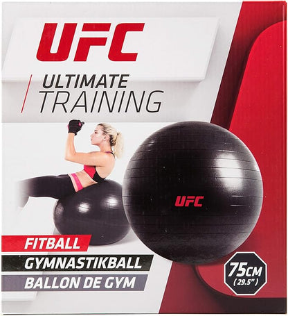 UFC 55 cm Fitball