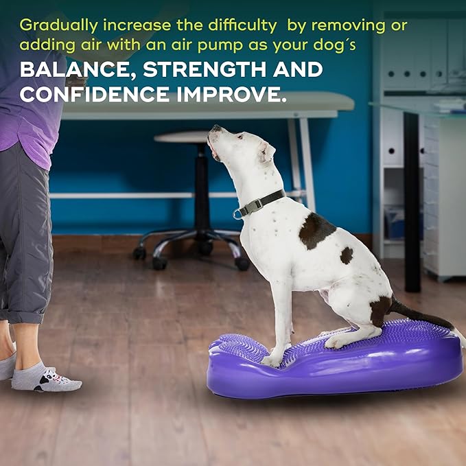 FitPAWS® K9FITbone CanineGym® Dog Balance Training Platform – Giant
