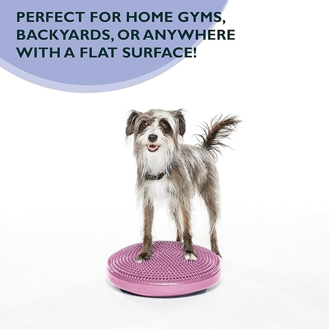 FitPAWS® Dog Balance Disc – 14”, Razzleberry | Dog Exercise Equipment | Workout Tool for Strength, Core, Stability & Rehabilitation