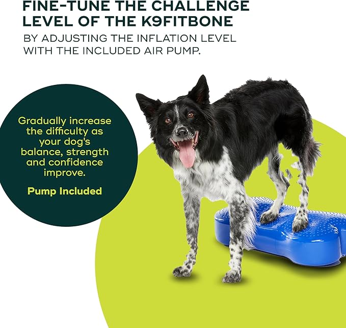 FitPAWS® K9FITbone® - Regular, Blue | Dog Balance Training Platform & Exercise Equipment | Workout Tool for Strength, Core & Stability
