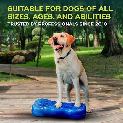 FitPAWS® K9FITbone® - Regular, Blue | Dog Balance Training Platform & Exercise Equipment | Workout Tool for Strength, Core & Stability