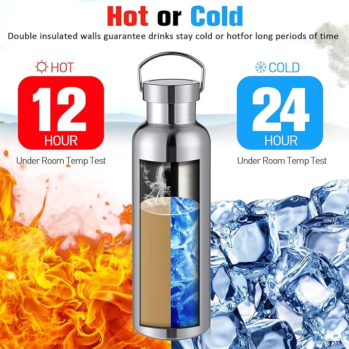 10 Pack Reusable Stainless Steel Water Bottle Bulk Double Wall Insulated Sports Water Bottle with Handle and Vacuum Seal Leakproof Lid for Sports Cyclists Hiking Gym Camping Gift(Silver,25 oz)